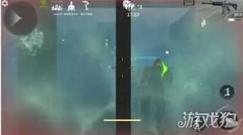 王者勋章幸存者怎么玩