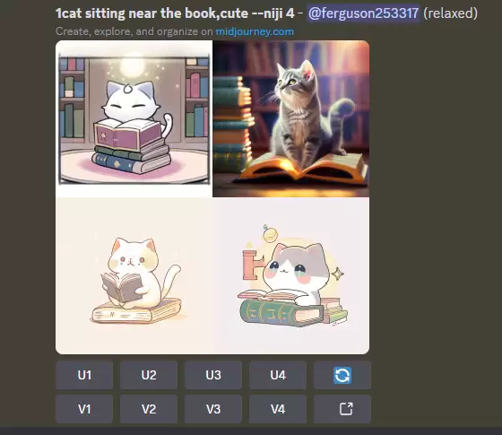 midjourney怎么用？Midjourney前置指令 /settings 讲解