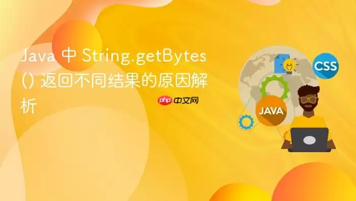 Ja va 中 String.getBytes() 返回不同结果的原因解析