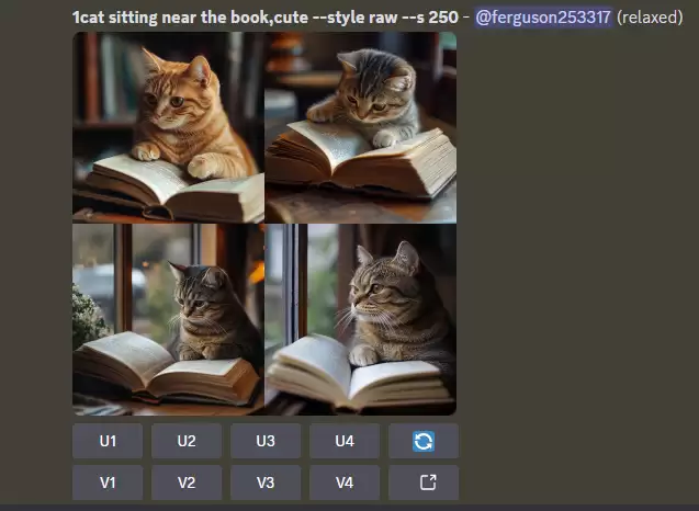 midjourney怎么用？Midjourney前置指令 /settings 讲解