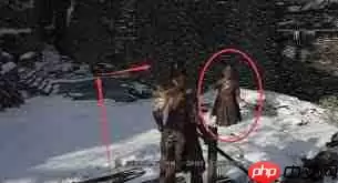 明末渊虚之羽沈静安支线任务怎么过