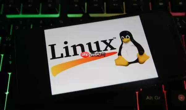 Linux怎么配置静态路由永久生效 Linux下route与ip命令详解