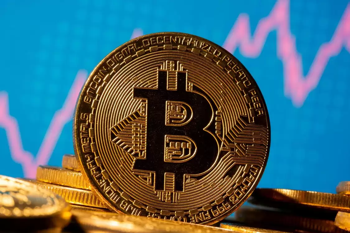 algorand是什么币