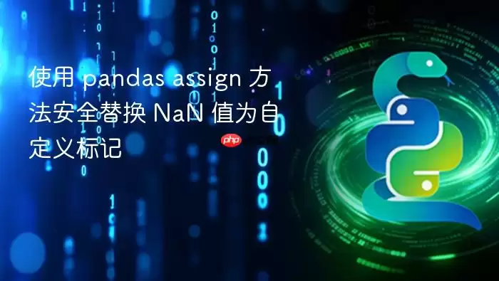 使用 pandas assign 方法安全替换 NaN 值为自定义标记
