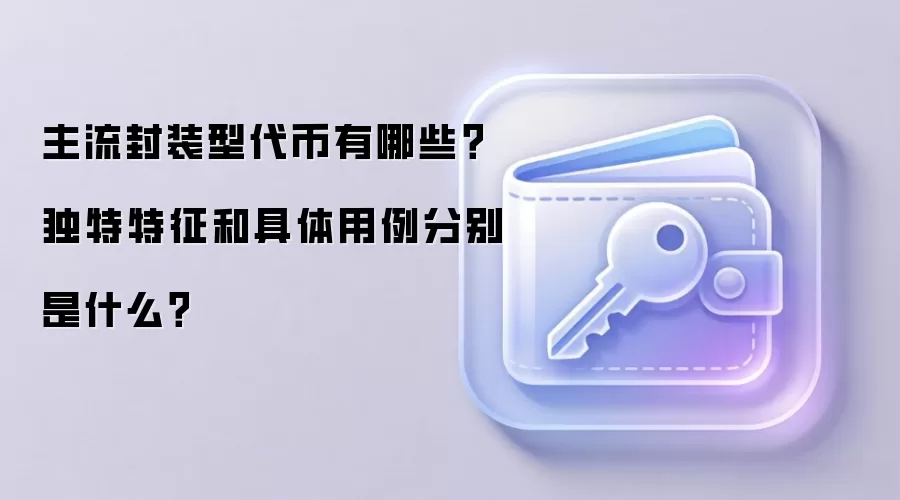 主流封装型代币有哪些？独特特征和具体用例分别是什么？