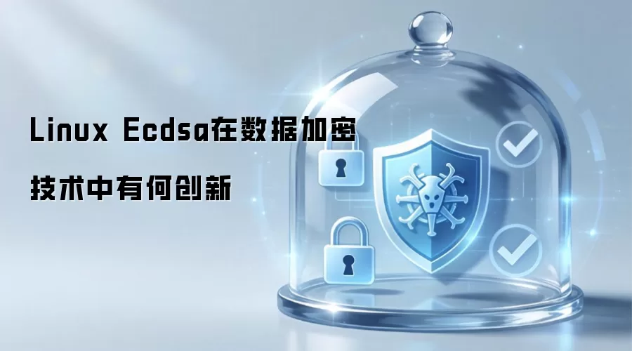 Linux Ecdsa在数据加密技术中有何创新
