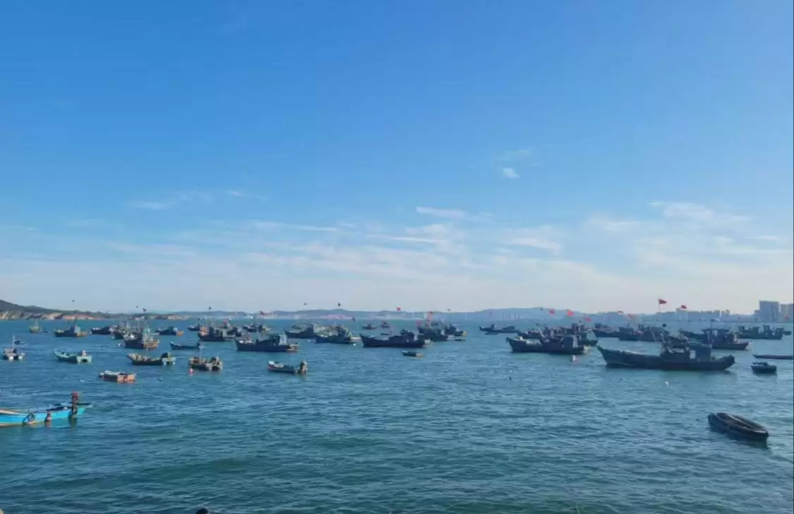 中科院海洋所发布高分辨率海洋大模型“琅琊”1.0 ，可提升全球海洋预报准确性