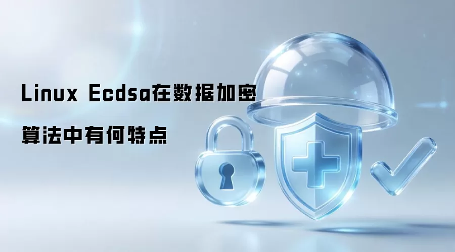 Linux Ecdsa在数据加密算法中有何特点