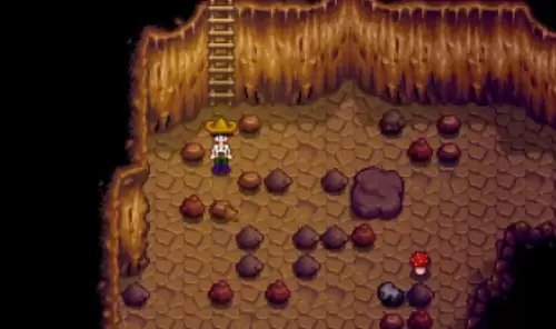 星露谷物语骷髅钥匙任务3