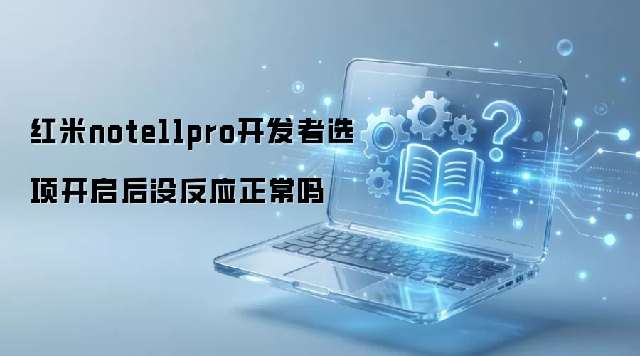 红米note11pro开发者选项开启后没反应正常吗