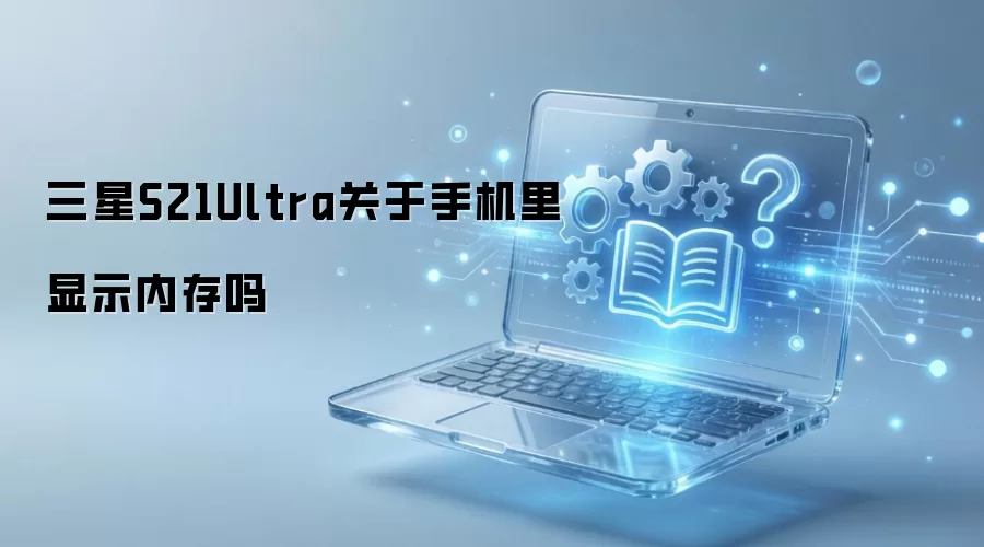 三星S21Ultra关于手机里显示内存吗