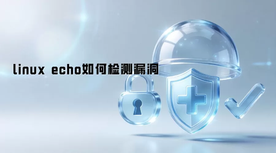 linux echo如何检测漏洞