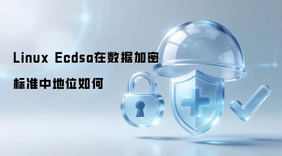 Linux Ecdsa在数据加密标准中地位如何