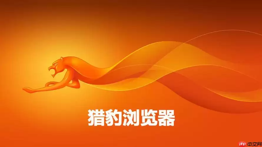 猎豹浏览器怎么清理缓存_猎豹浏览器缓存数据清理方法教程【简单】