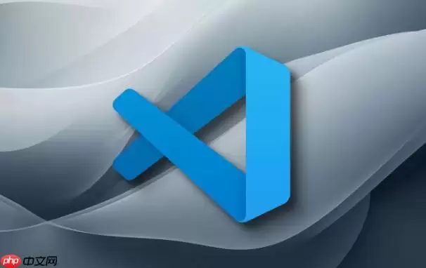 VSCode编辑器侧边栏图标隐藏_自定义活动栏显示项