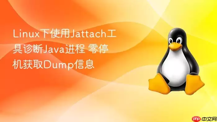 Linux下使用Jattach工具诊断Ja va进程 零停机获取Dump信息