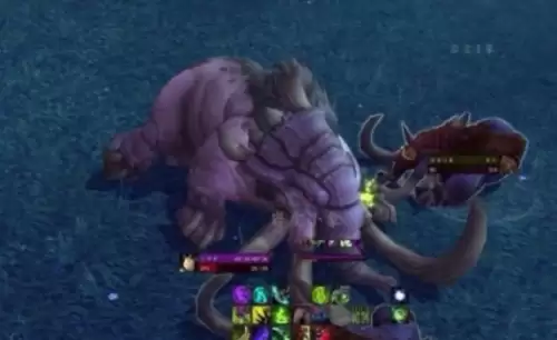 魔兽世界怀旧服重结缔皮获取指南3