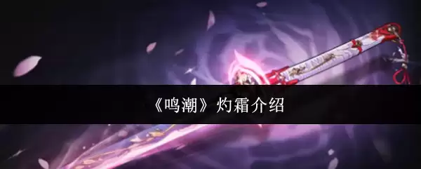 《鸣潮》灼霜介绍