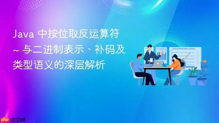 Ja va 中按位取反运算符 ~ 与二进制表示、补码及类型语义的深层解析