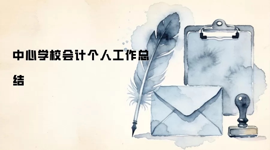 中心学校会计个人工作总结