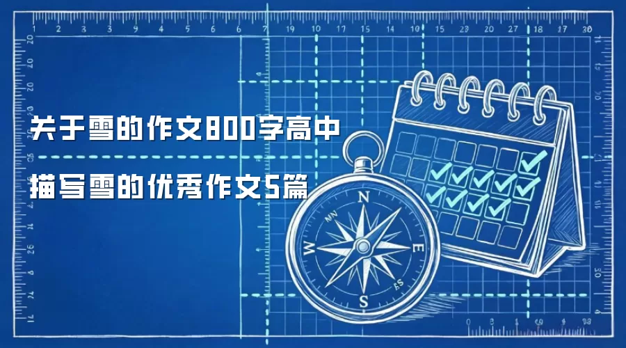 关于雪的作文800字高中 描写雪的优秀作文5篇