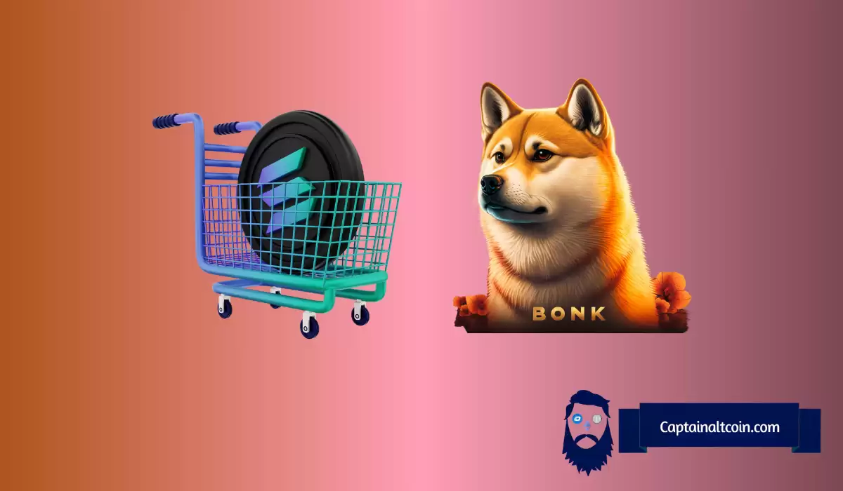 BONK、加密货币与代币销毁：这到底是怎么回事？