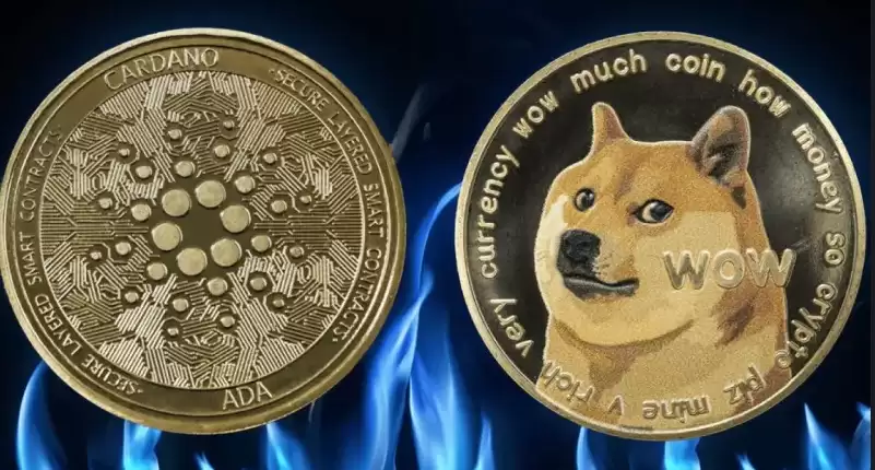 2025年7月底卡尔达诺（ada）和狗狗币（doge）价格预测 - php中文网