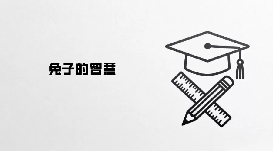 兔子的智慧