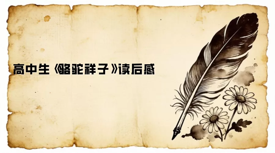 高中生《骆驼祥子》读后感