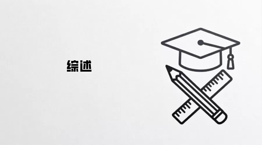 综述