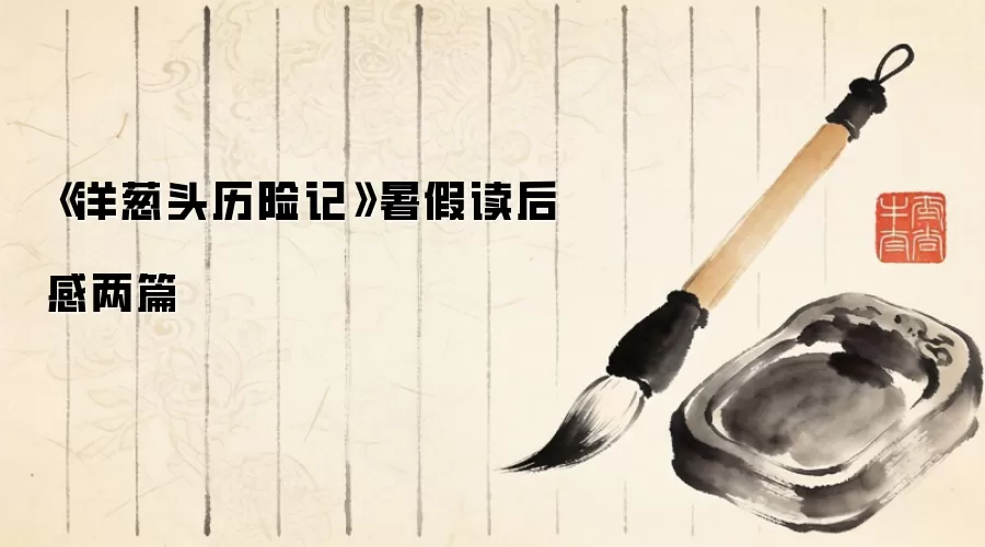 《洋葱头历险记》暑假读后感两篇
