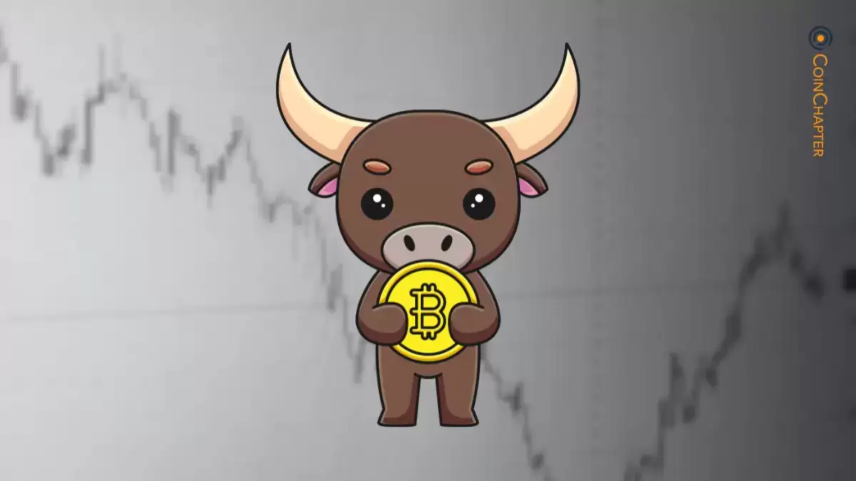 比特币、动能与大重置：下一步是什么？