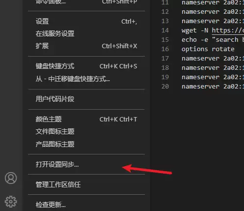 vscode同步功能在哪