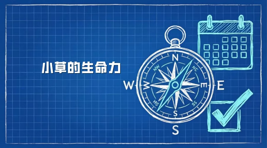小草的生命力