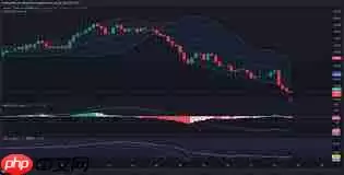 XMR币能否涨到1000美元