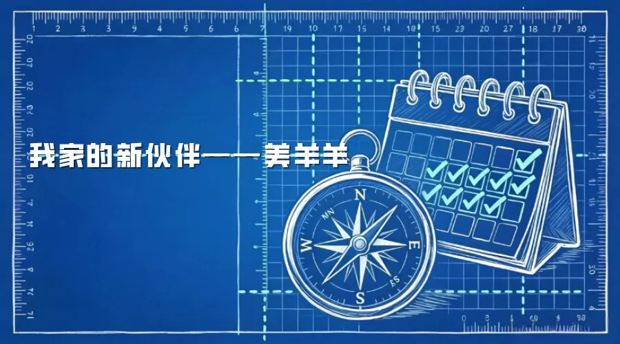 我家的新伙伴——美羊羊