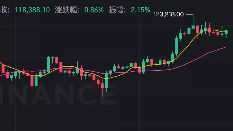 比特币价格12万美元再创历史新高，比特币10年后会值多少钱? - php中文网