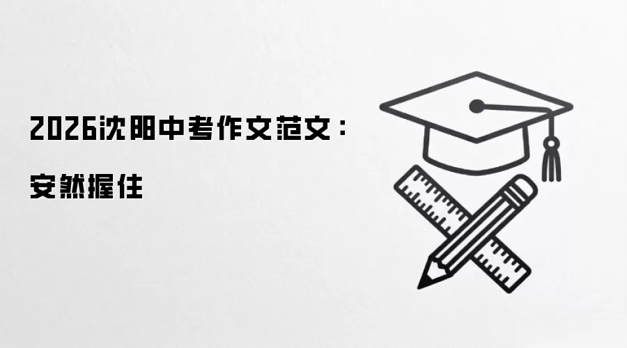 2026沈阳中考作文范文：安然握住