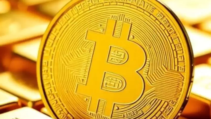 山寨币社区活动与激励机制 - php中文网