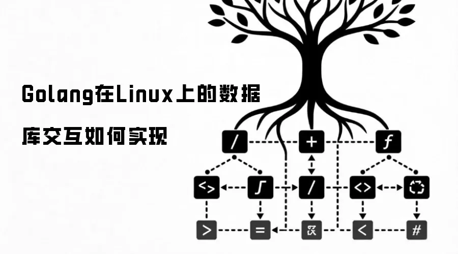 Golang在Linux上的数据库交互如何实现