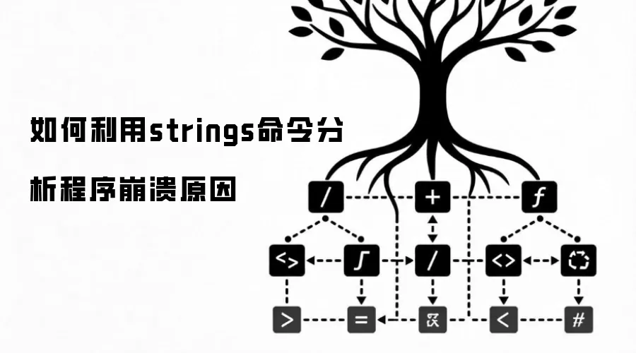 如何利用strings命令分析程序崩溃原因