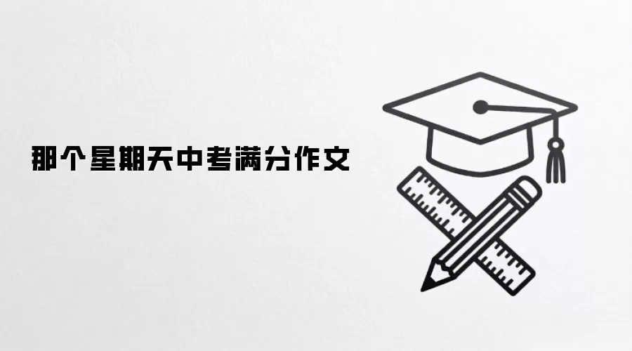 那个星期天中考满分作文