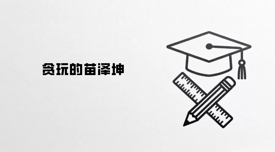贪玩的苗泽坤