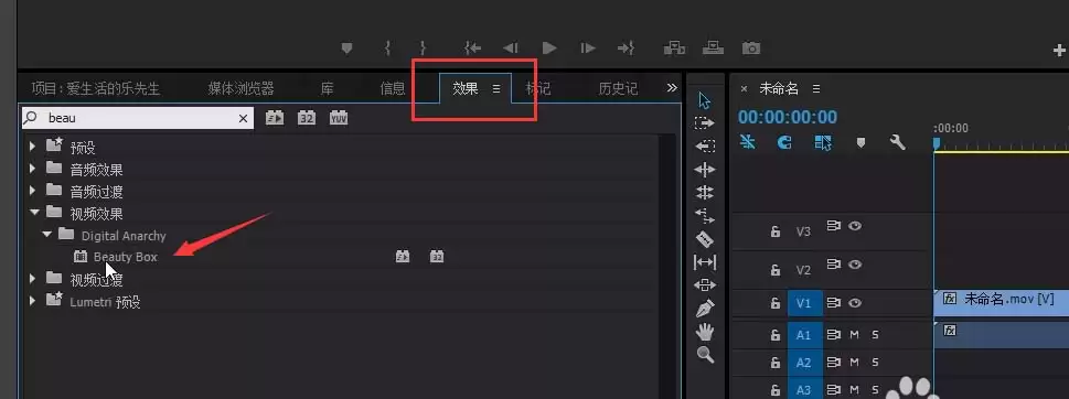 Premiere怎么给视频中的人脸磨皮美化