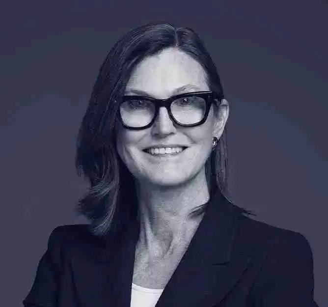 ARK Invest投资官(Cathie Wood)交易密码：如何用碘伏性创新周期捕捉最佳入场点