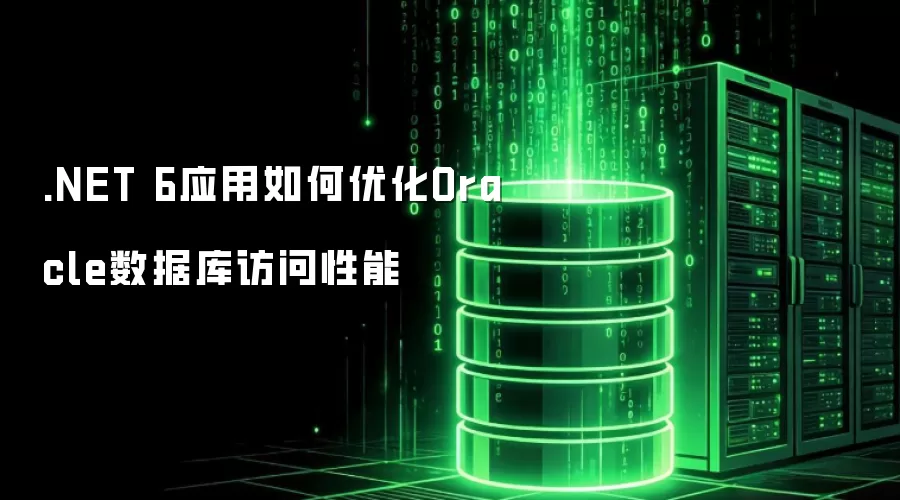 .NET 6应用如何优化Oracle数据库访问性能