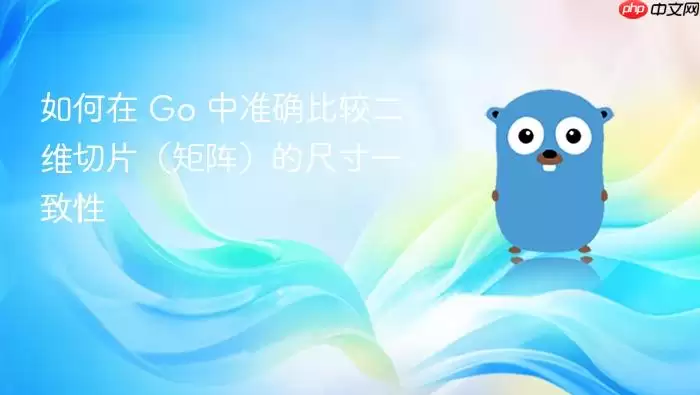 如何在 Go 中准确比较二维切片（矩阵）的尺寸一致性