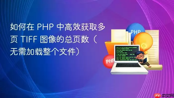 如何在 PHP 中高效获取多页 TIFF 图像的总页数（无需加载整个文件）