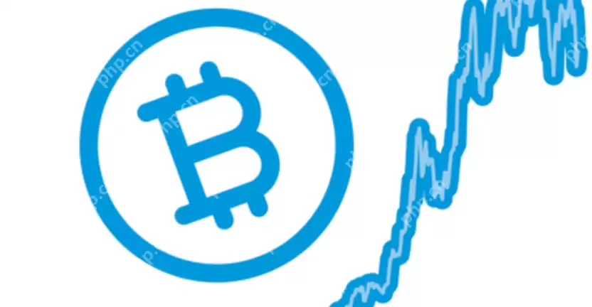 新手如何低位买入BTC，高位卖出实现收益翻倍 - php中文网
