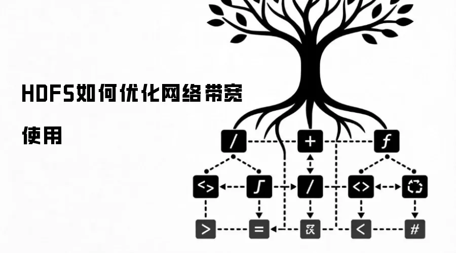 HDFS如何优化网络带宽使用